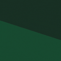 San Miguel Cerveza GIF by Cervezas-San-Miguel