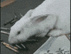 moving open knowledge GIF by Okkult Motion Pictures
