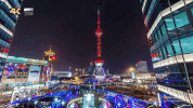 shang hai GIF