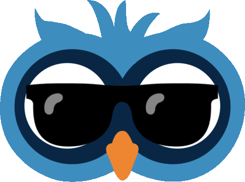 sunglasses Sticker by Reiseuhu