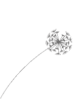 Leonie Sticker by Wens maakt het