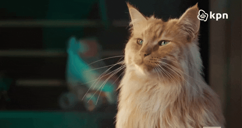 GIF by KPN