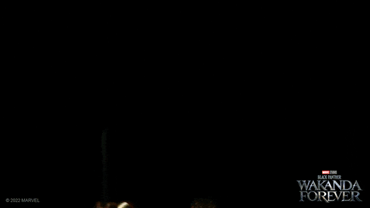 Black Panther Wakanda Forever GIF by Marvel Studios