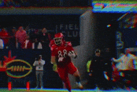 Stay Down Utah Utes GIF