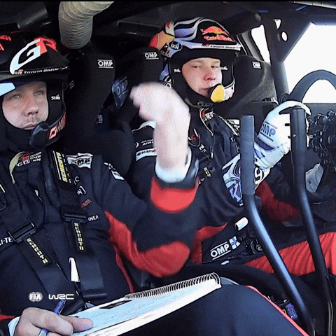 Happy Shake Hands GIF by FIA World Rally Championship