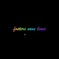 Heartland_Animal_Shelter adopt adoption foster fosters GIF