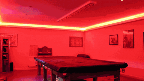 wynbeesolutions giphyupload GIF