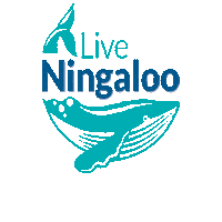 LiveNingaloo humpback whale exmouth ningaloo whalesharks Sticker