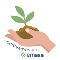 Planta Sticker by Emasa