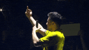 Apex Team Vitality GIF by BLAST