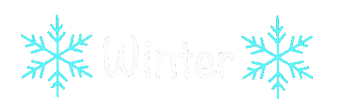 Snow Winter Sticker