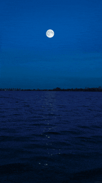 water moon GIF by Living Stills