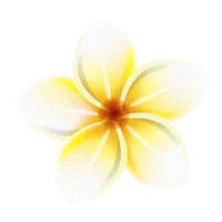 Face Skincare Sticker by Clinelle Indonesia