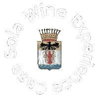 Fun Logo Sticker by Casa Sola