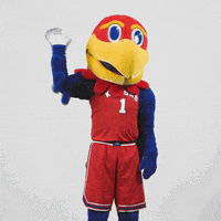 Waving Big Jay GIF by University of Kansas
