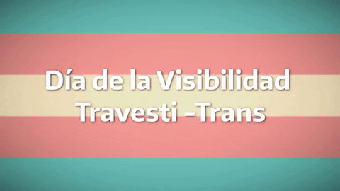 gryamila giphyupload dia visilibilidad camila cultura GIF