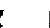 Semevinea trigo triticultura chiaro genética avançada Sticker