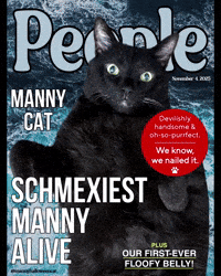 Black Cat Sexiest Man Alive GIF