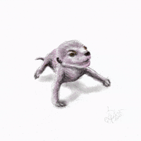 Art Meerkat GIF