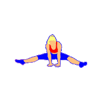 Workout Gym Sticker