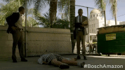 season 3 GIF by Bosch