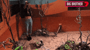 Bbau GIF by Big Brother Australia