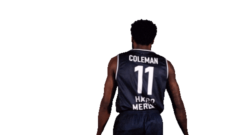 Basketball Tim Sticker by HAKRO Merlins Crailsheim