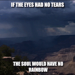 GrandCanyonTV giphyupload rainbow cry tears GIF