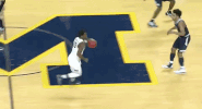 GIF by Michigan Athletics