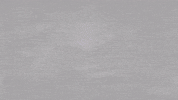 Eredivisie GIF by Sparta Rotterdam