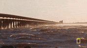 wicked tuna GIF by National Geographic Channel