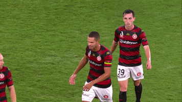 High Five Western Sydney Wanderers GIF by wswanderersfc