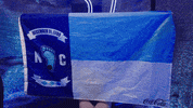 North Carolina Smile GIF by UNC Tar Heels