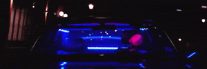 Where Are You Oops GIF by Alec King