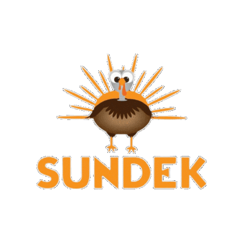 Sundek Sticker by SUNDEKConcrete