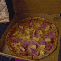 Samurai Pizza Cats Daniel GIF