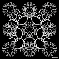 michelpoisson art geometry python GIF