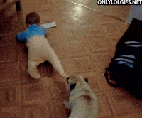 my 2 GIF