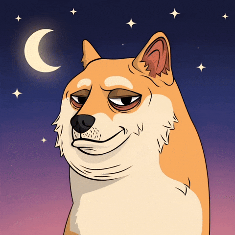 Good Night Dog GIF by Doge Pound
