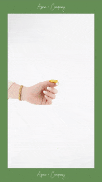 GIF by Aspen + Company