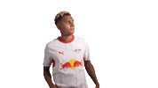 Look At This Red Bull Sticker by RB Leipzig