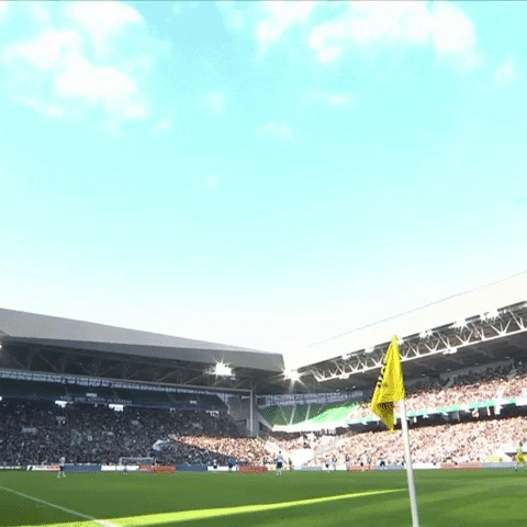 geoffroy-guichard football GIF by AS Saint-Étienne