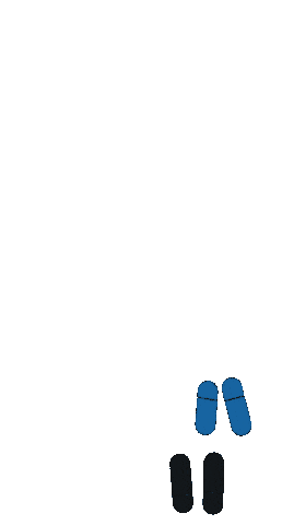 Dance Sticker by Luisa Misseri