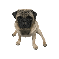 Free Fire Dog Sticker by iNCO Gaming