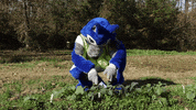 gowest uwg GIF by University of West Georgia