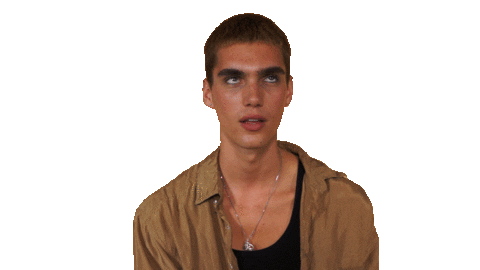 Hollands Next Top Model Reaction Sticker by RTL