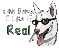 Dog Sticker by realdogbox