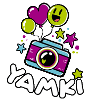 Fiesta Camara Sticker
