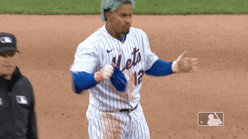 Francisco Lindor GIF by New York Mets