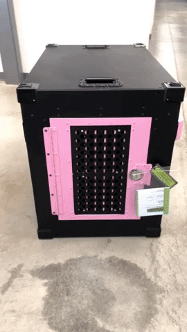 Black And Pink Dog Mom GIF by Impact Dog Crates